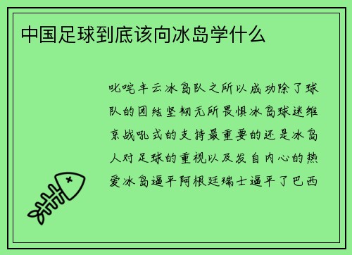 中国足球到底该向冰岛学什么
