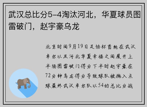 武汉总比分5-4淘汰河北，华夏球员图雷破门，赵宇豪乌龙