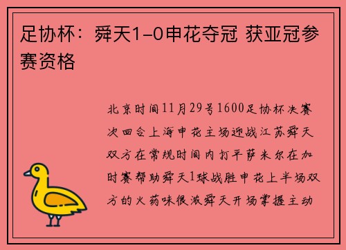 足协杯：舜天1-0申花夺冠 获亚冠参赛资格